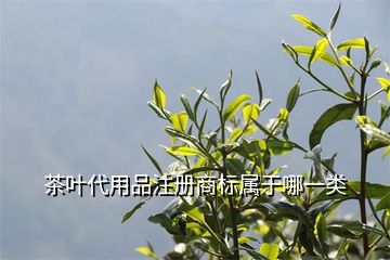 商標(biāo)類別注冊(cè)錯(cuò)誤會(huì)_商標(biāo)類別注冊(cè)少了有影響嗎_商標(biāo)的注冊(cè)類別