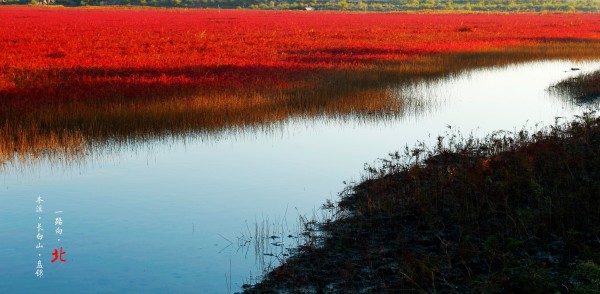 紅海灘周邊住宿_去紅海灘住哪里比較好_紅海灘住宿攻略