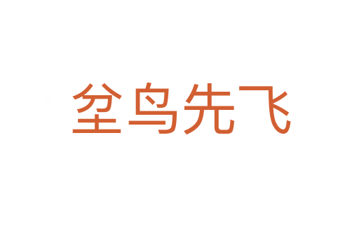 坌鳥(niǎo)先飛