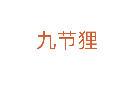 九節(jié)貍