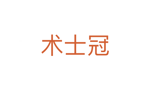 術(shù)士冠