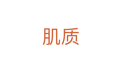 肌質(zhì)