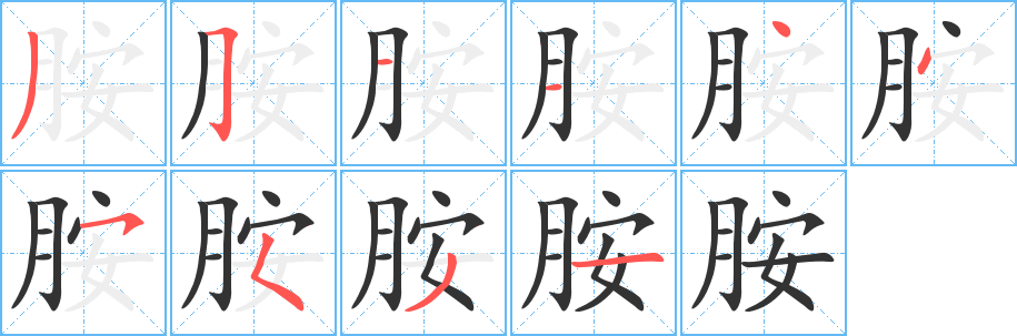 胺的筆順分步演示