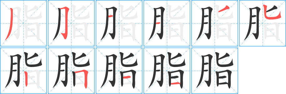 脂的筆順分步演示