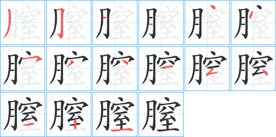 膣的筆順?lè)植窖菔?>
					
                    <hr />
                    <h2>膣的基本信息</h2>
                    <div   id=