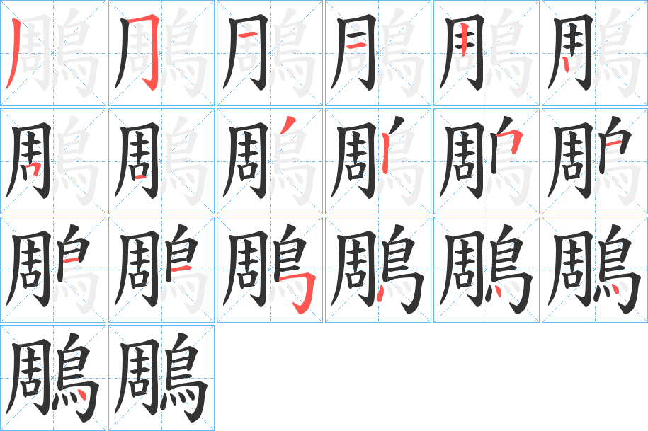 鵰的筆順分步演示